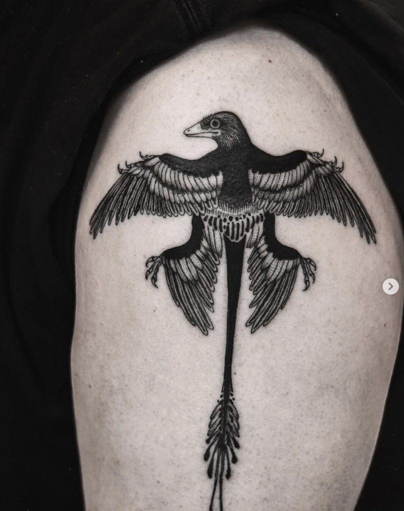 Blackwork-tattoo van een fantasievogel met gespreide vleugels en lange staart, door Mara.