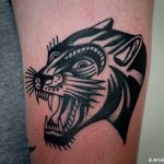 Traditional cat tattoo