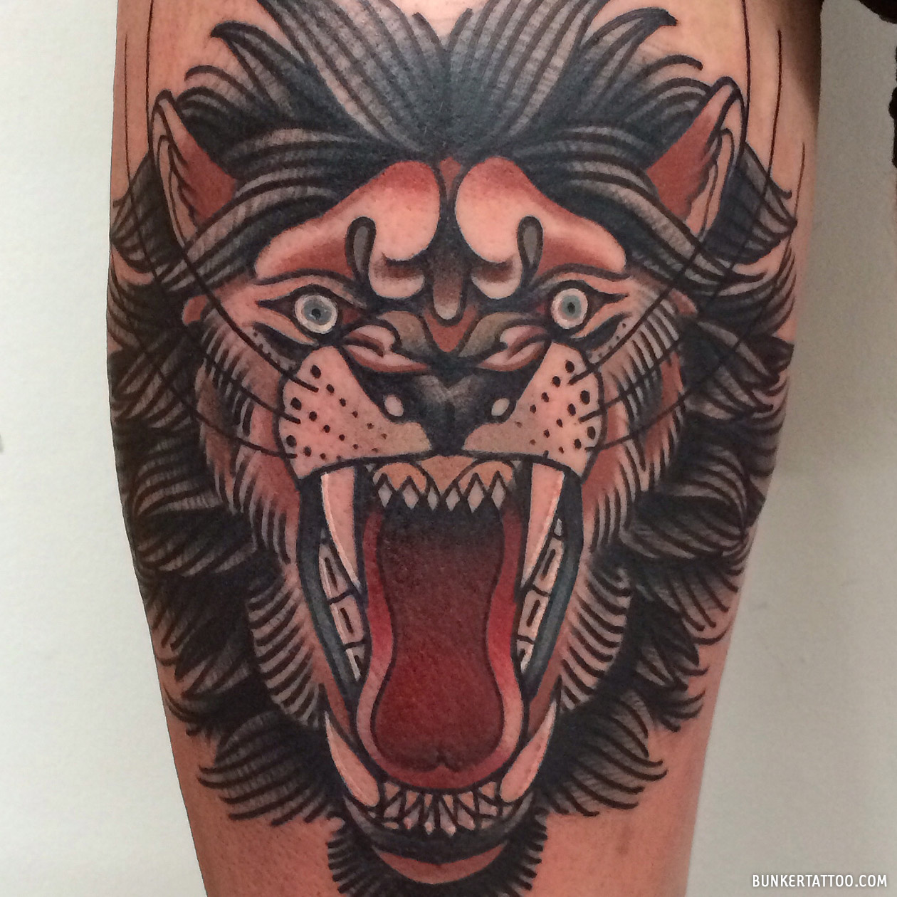 Traditional Lion tattoo – Bunker Tattoo – Quality tattoos