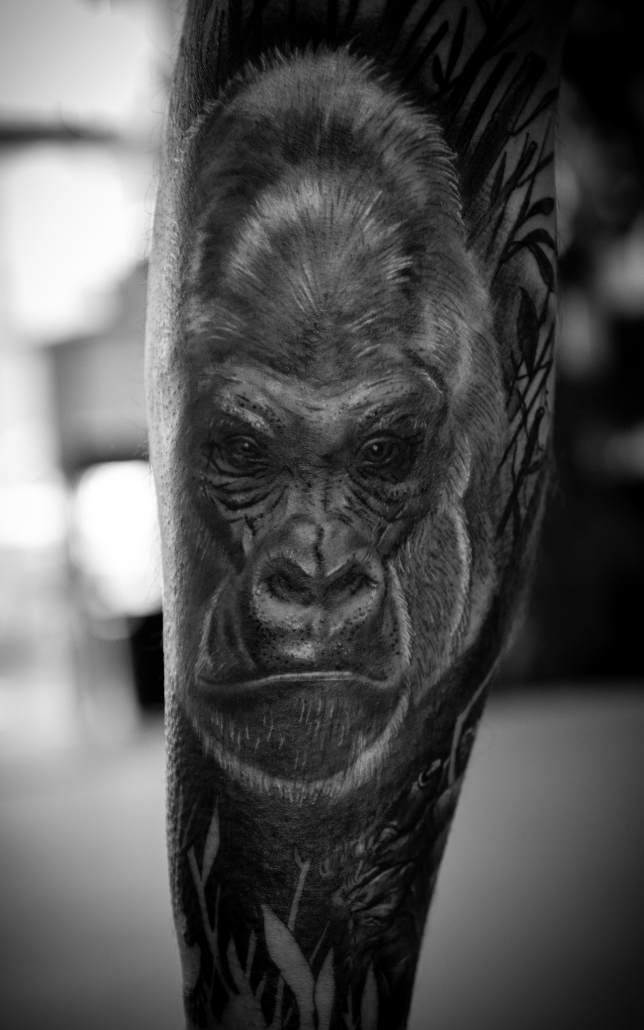 Elephant And Monkey Tattoo On Left Half Sleeve