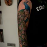 Peacock tattoo