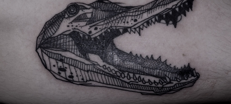 Crocodile Head Tattoo PNG Transparent SVG Vector  OnlyGFXcom